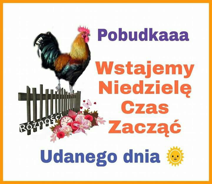 Pobudka w niedzielę udanego dnia